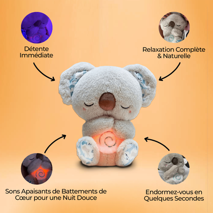 Dreaming Koala